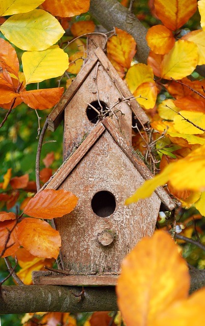 Encouraging wildlife (bird boxes) for curb appeal